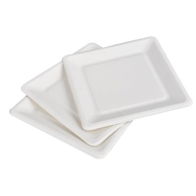 9in 10in Eco Friendly Compostable Sugarcane Paper Plates Dessert Square Cake Plate