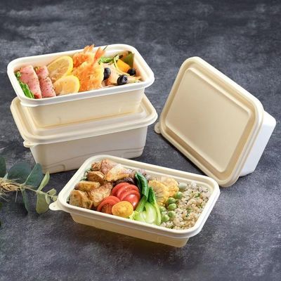 500 600ML อาหารคอมพอสเทสไทยสตาร์ค อาหารกลางวัน กล่องบรรจุอาหารเร็ว